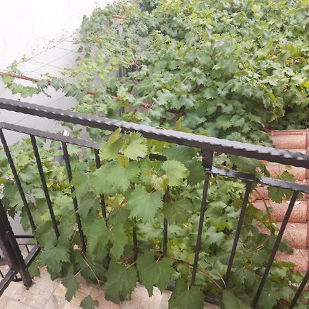 Melon-1, Murter, House For Rest Bagian luar foto